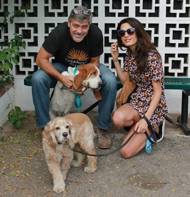 George e Amal Clooney com seus dois cachorrinhos (Foto: Facebook)