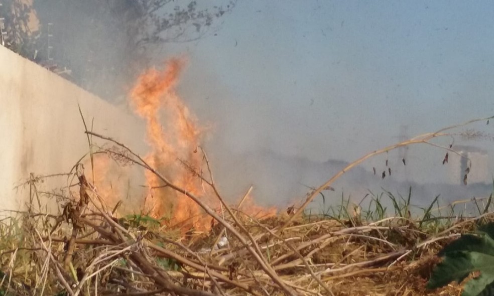 Fogo se aproximou de imóvel em Santa Bárbara d'Oeste (Foto: Bruna Graciano)