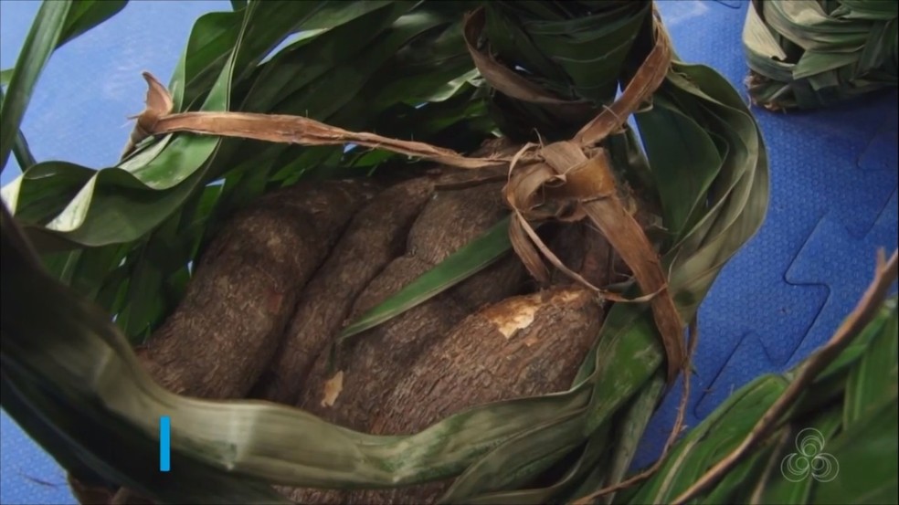 Mandioca doada por indígenas para famílias carentes de RO — Foto: Rede Amazônica/Reprodução