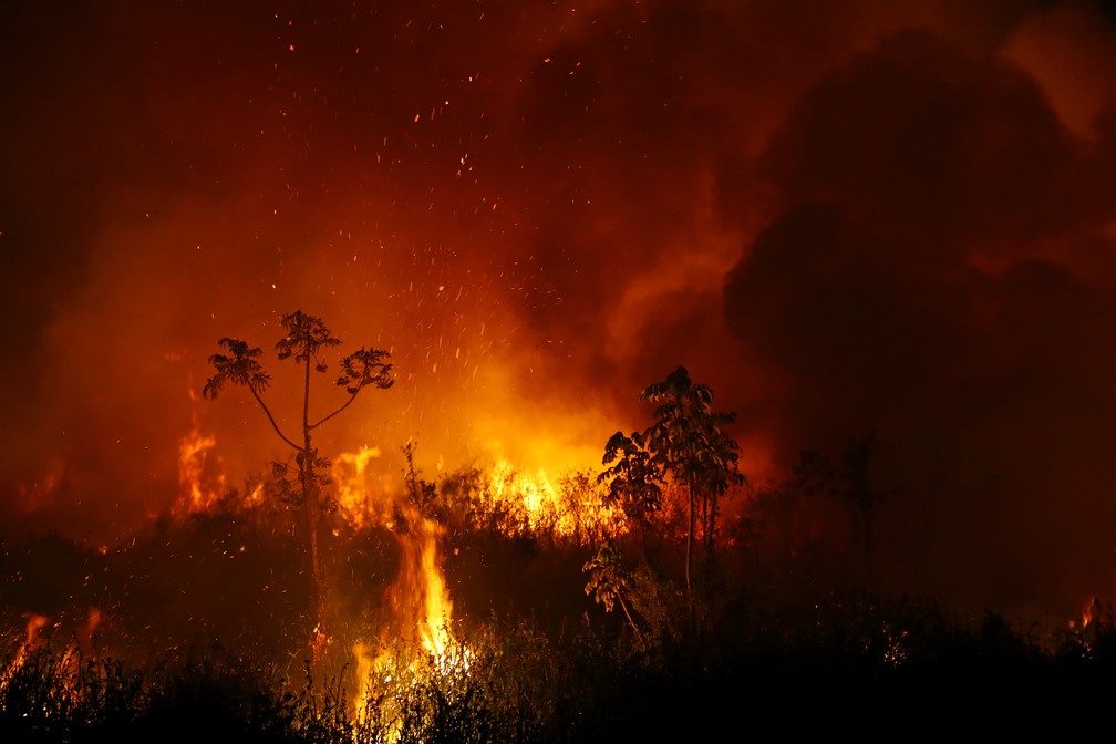 Nuvens de fumaça são vistas enquanto as árvores queimam entre a vegetação durante incêndio no Pantanal — Foto: Amanda Perobelli/Reuters