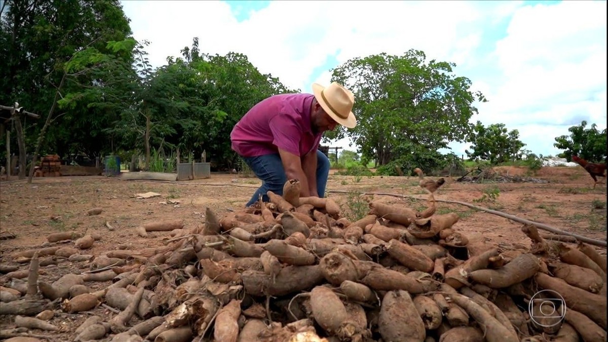 Agricultores familiares de Goiás enfrentam dificuldades para acessar crédito do Pronaf thumbnail