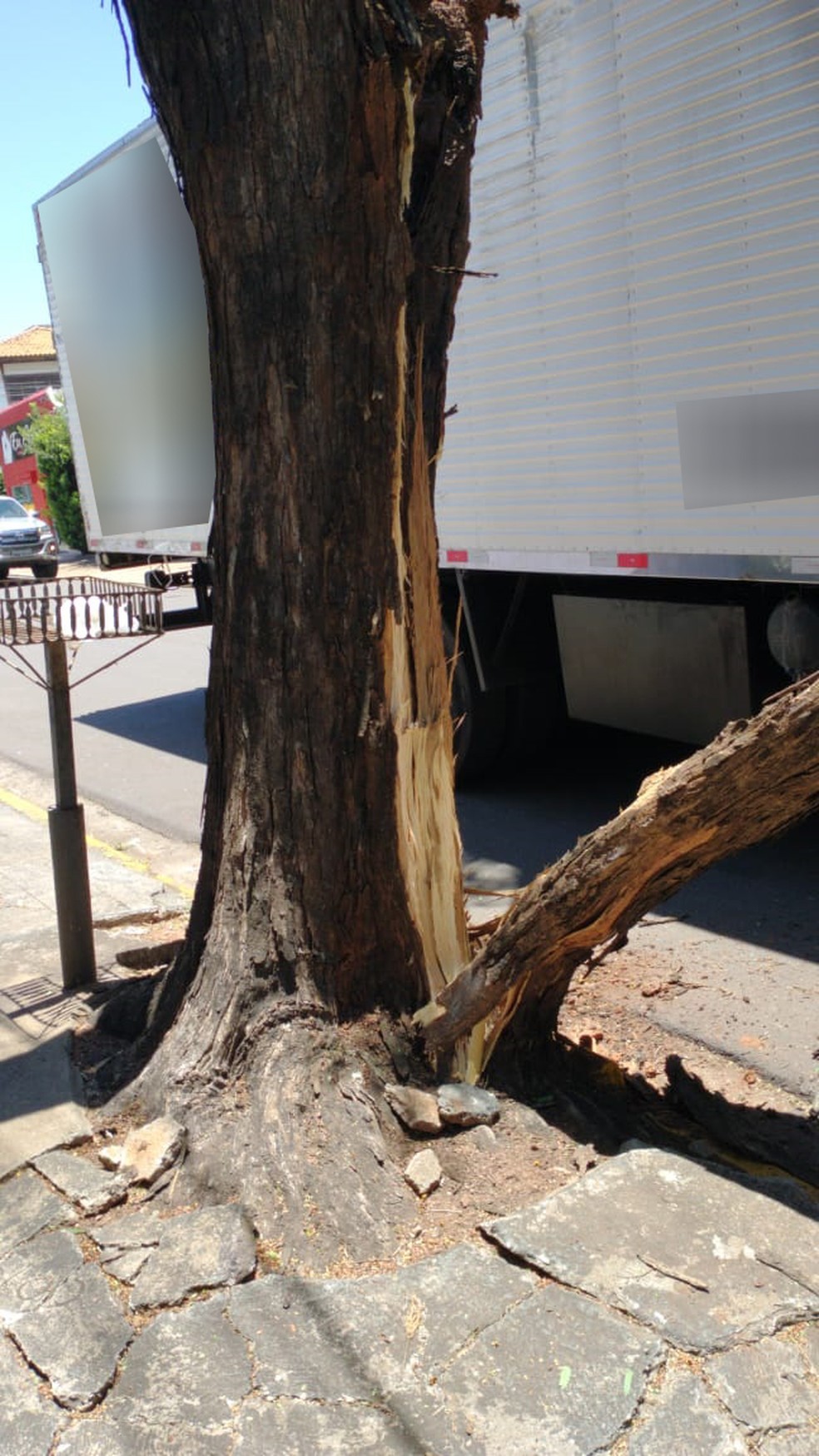 Segundo o Corpo de Bombeiros, o caminhão enroscou na árvore — Foto: Fábio Cristovam/Cedida