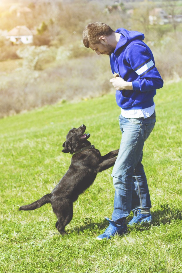 young man having a fun with dog in the nature (Foto: Getty Images/iStockphoto)