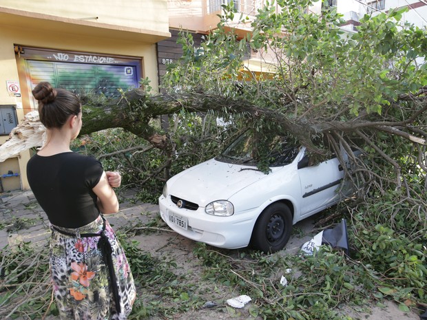 Árvores caíram sobre carros no temporal de Porto Alegre  (Foto: Jefferson Botega / Agência RBS )