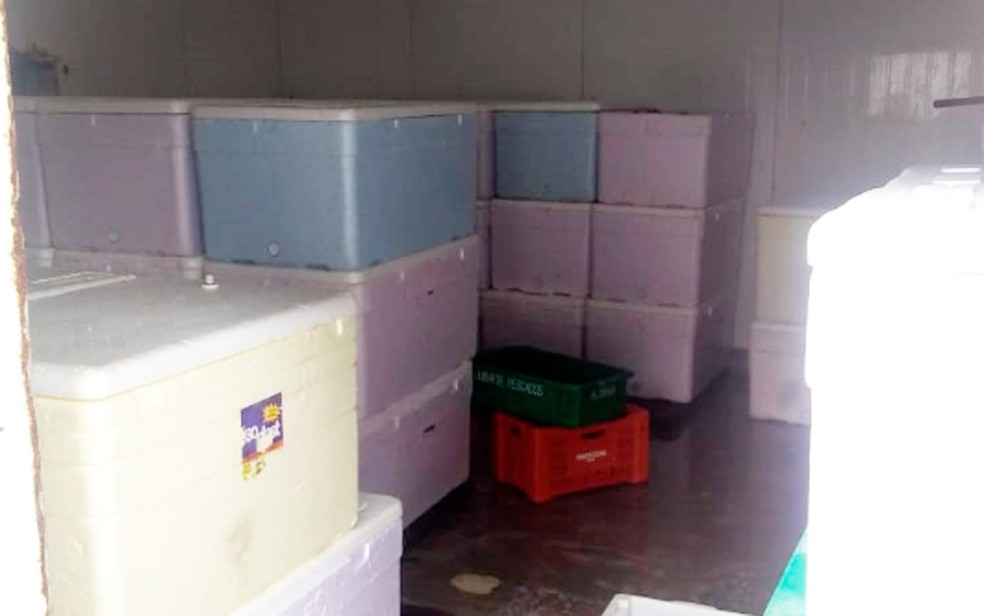 Carga estava dentro de 63 caixas de isopor em depÃ³sito ilegal (Foto: Ascom 88Â°CIPM/DivulgaÃ§Ã£o)