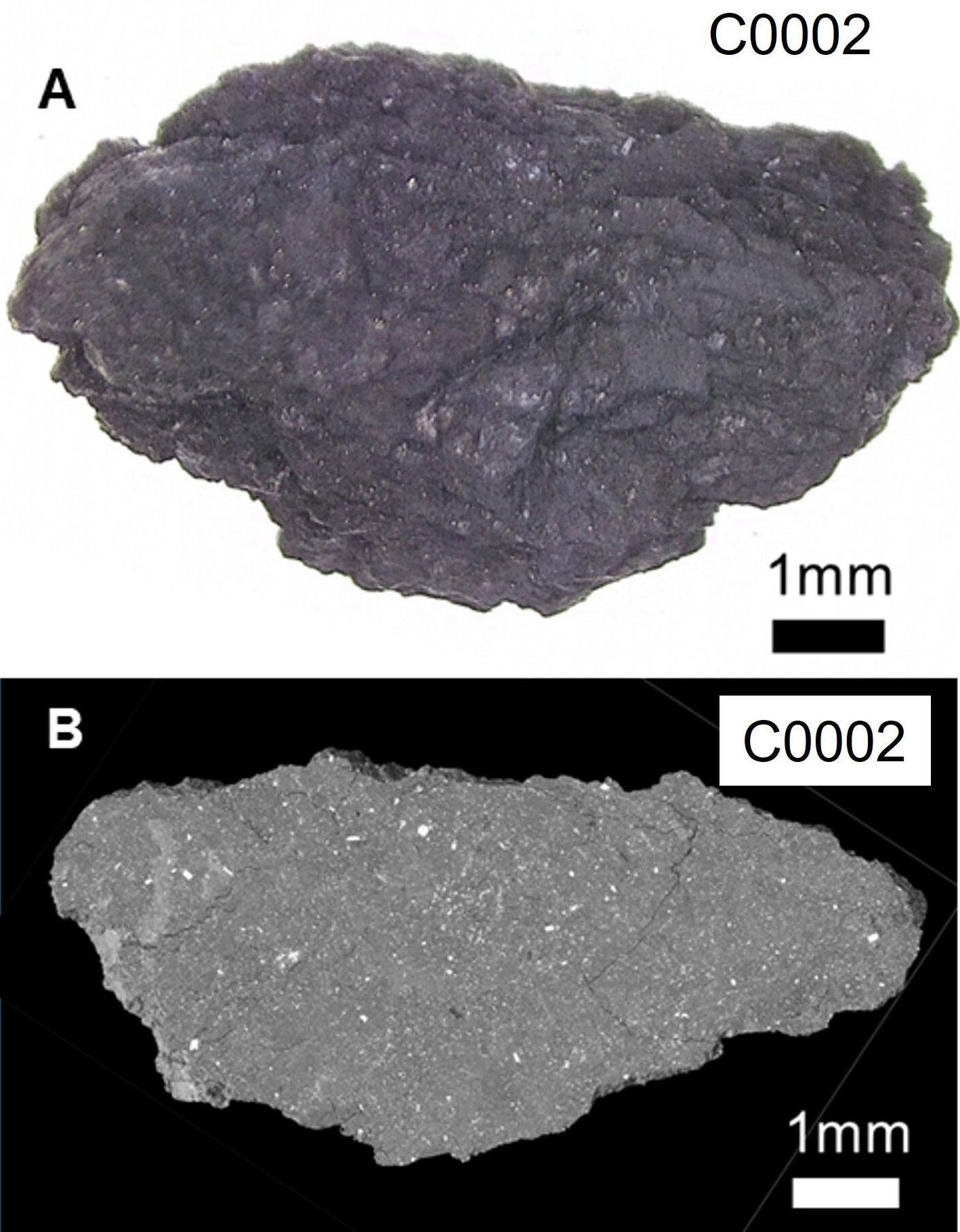  Micrografia óptica da maior amostra analisada do asteroide e (B) visão do interior da amostra (Foto: SPring-8, Tohoku Univ.)