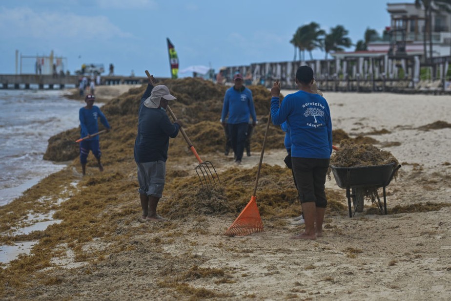 Trabalhadores retiram algas da orla de Playa del Carmen, no México.