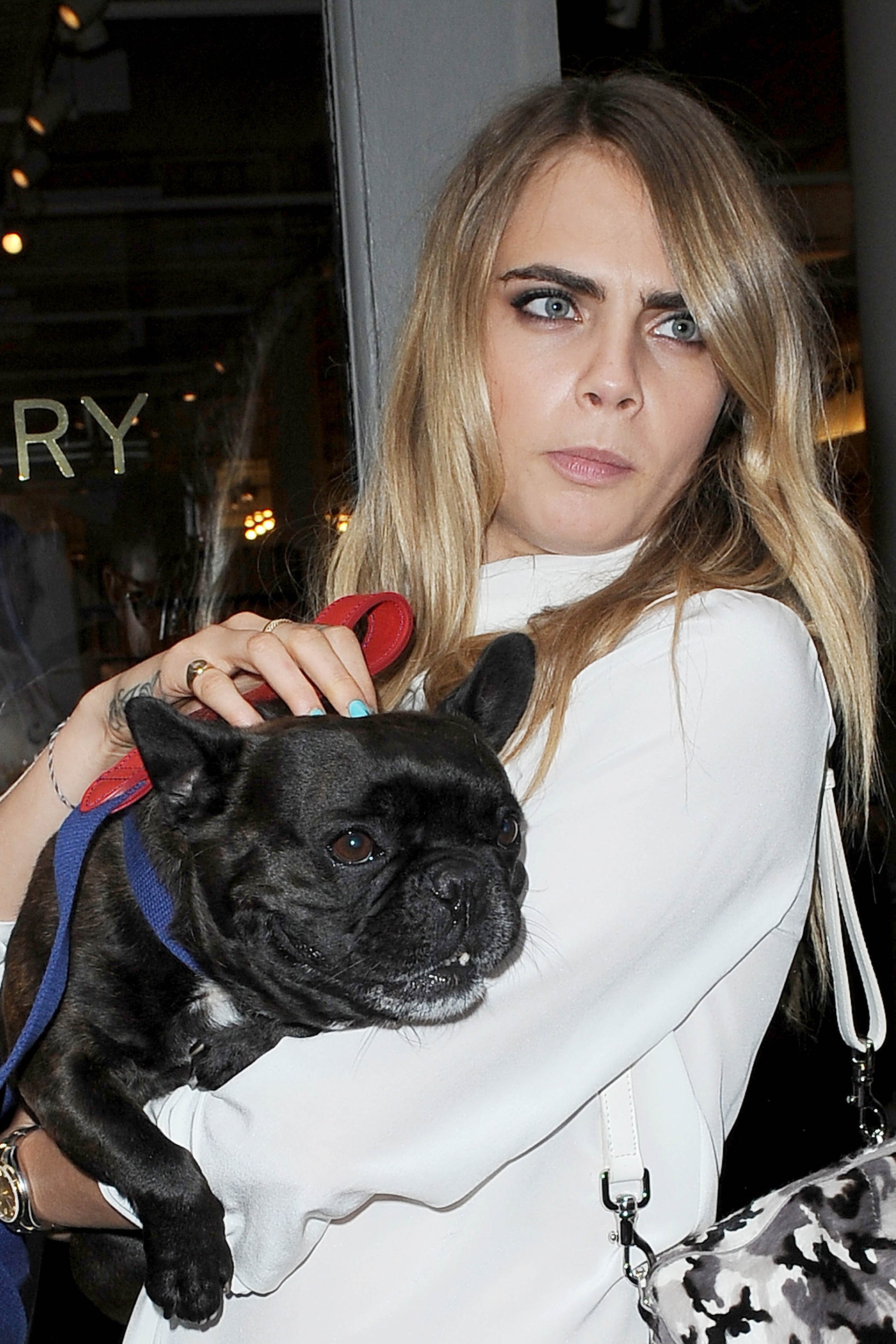 Cara Delevingne (Foto: The Grosby Group)