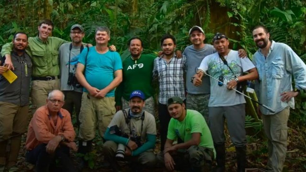 A equipe de pesquisadores passou duas semanas na mata catalogando as espécies — Foto: BBC