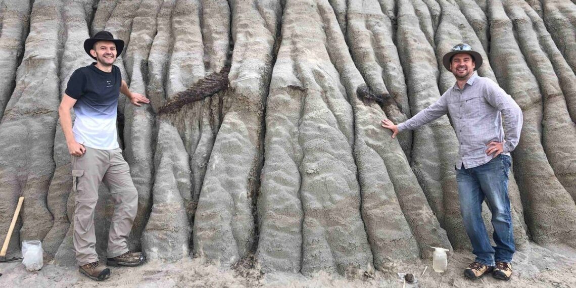 Novo pterossauro encontrado no Canadá chegava a ter 10 metros de