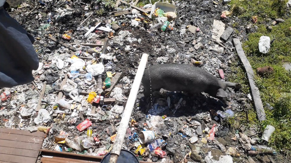 Incidência de doenças em áreas sem saneamento é muito maior — Foto: TV Cabo Branco/Reprodução