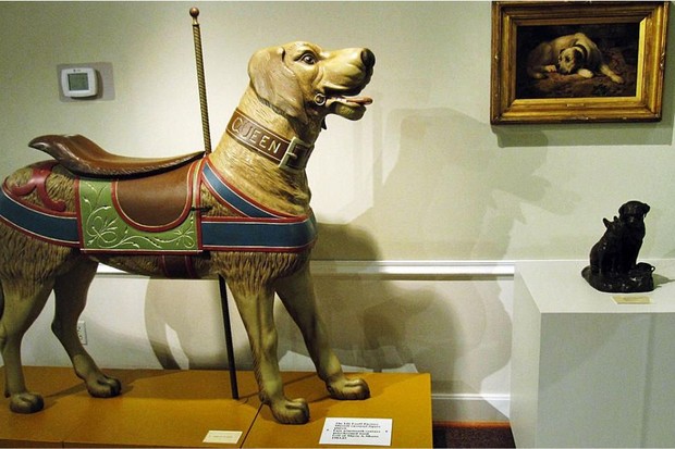 Museu do Cachorro (Foto: reprodução)
