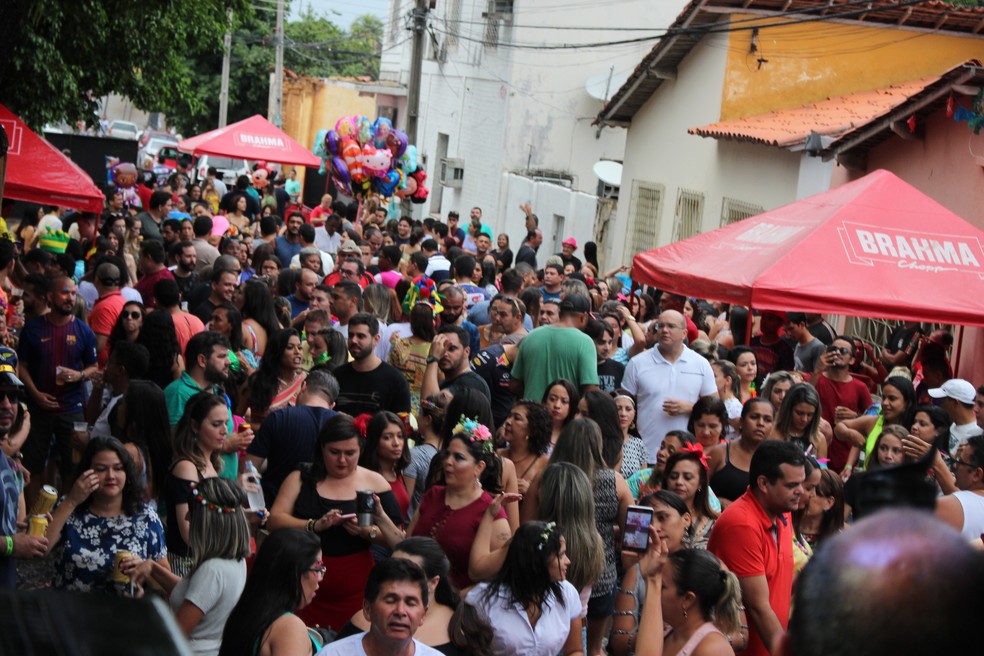 Foliões aproveitaram festa pré-carnavalesca (Foto: Carlos Rocha / G1 PI)