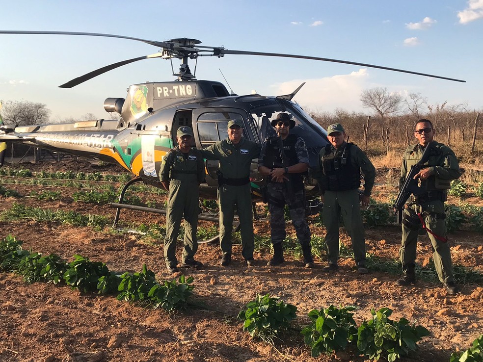 Aeronave da Polícia Militar ajudou na descoberta da plantação de maconha no Sul doPiauí — Foto: Divulgação/PM-PI