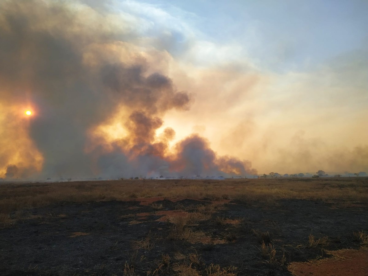 Bombeiros alertam para ocorrência de incêndios florestais: 109 já foram registrados no Norte de MG nos 12 primeiros dias de setembro