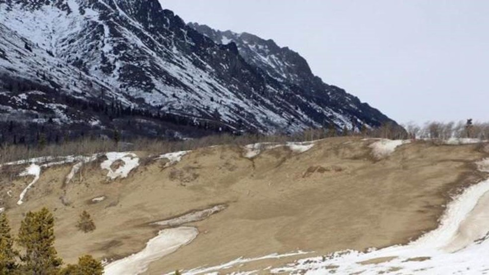 O Deserto de Carcross abriga uma variedade de vida selvagem, incluindo ovelhas e cabras da montanha — Foto: Mike MacEacheran
