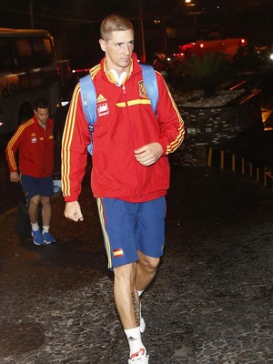 Fernando Torres, atacante da seleção da Espanha (Foto: EFE)