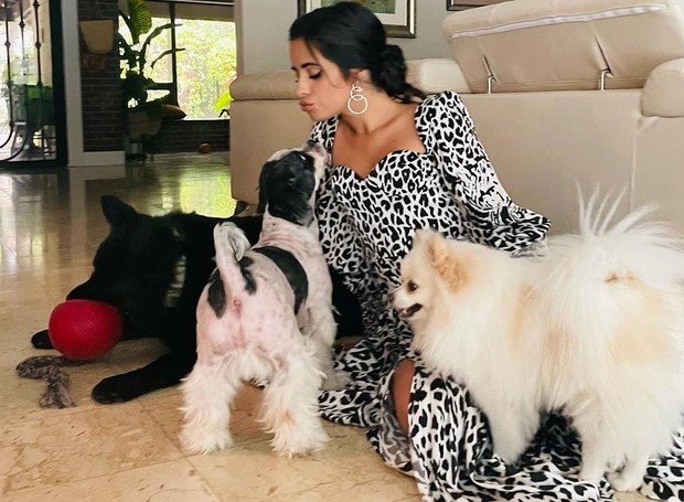 Camila Cabello e seus três cachorros, Thunder, Leo e Tarzan  (Foto: Instagram/@camila_cabello/Reprodução)