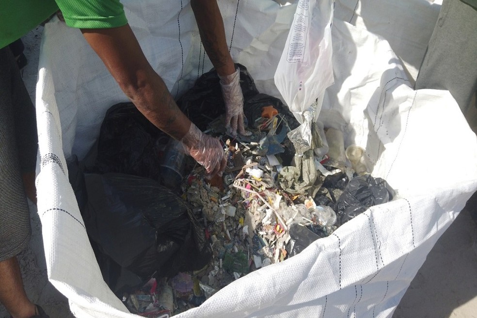 Mutirão recolhe mais de 150 kg de microlixo na faixa de areia em praias de São Vicente — Foto: Divulgação/Prefeitura de São Vicente