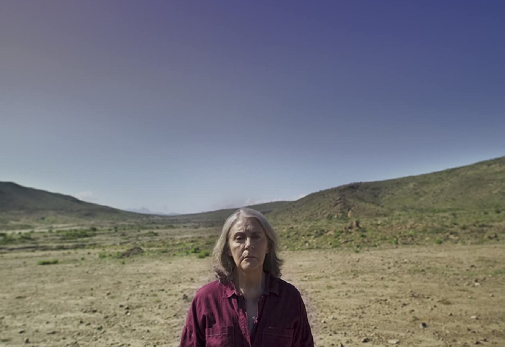 Em Ruído, Julieta Egurrola interpreta uma mãe que investiga o paradeiro da filha, que sumiu em circunstâncias misteriosas — Foto: Reprodução/IMDb