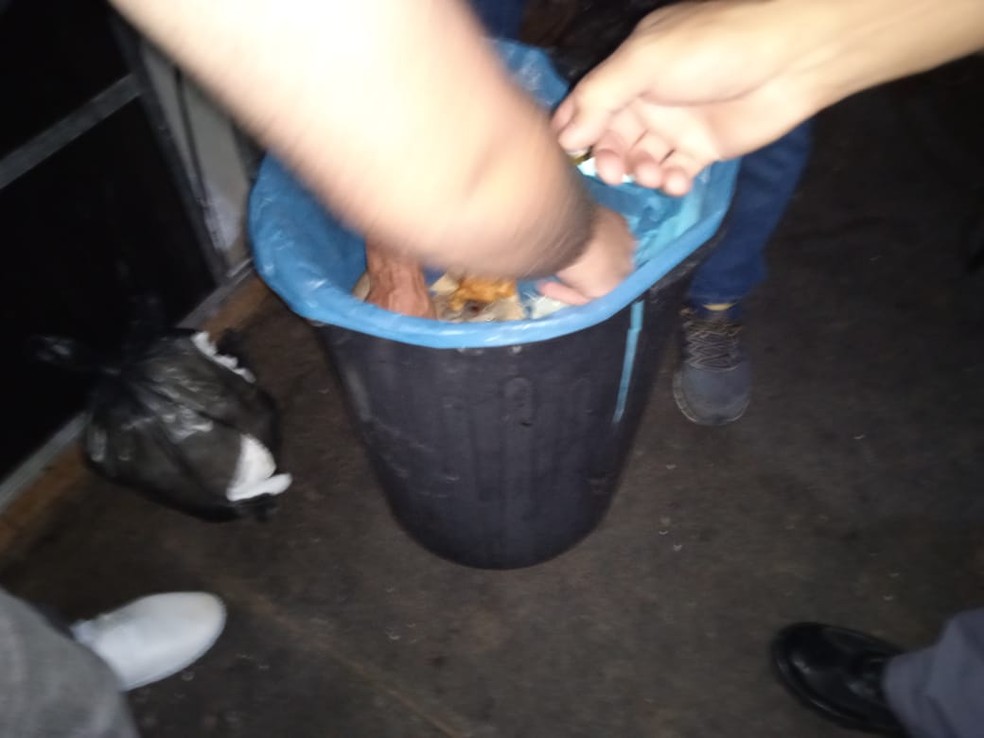 Testículo do animal foi encontrado em uma lata de lixo na república — Foto: Polícia Ambiental