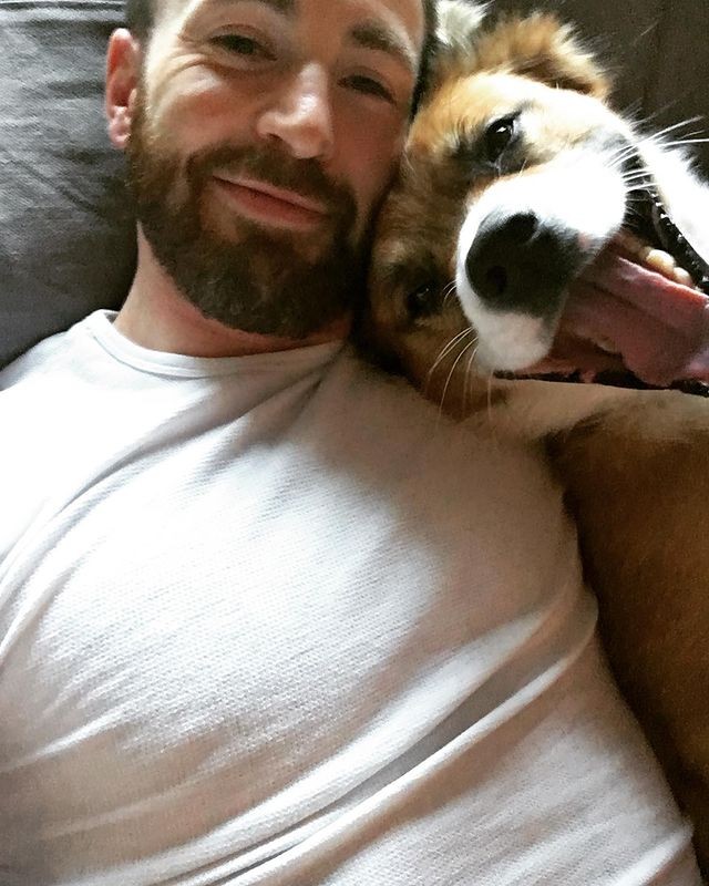 Chris Evans fala sobre cirurgia de seu pet, Dodger (Foto: Reprodução/Instagram)