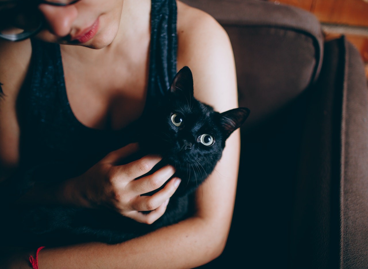A superstição sobre o gato preto é um resquício da perseguição aos gatos durante a Idade Média (Foto: Pexels/ Helena Lopes/ CreativeCommons)
