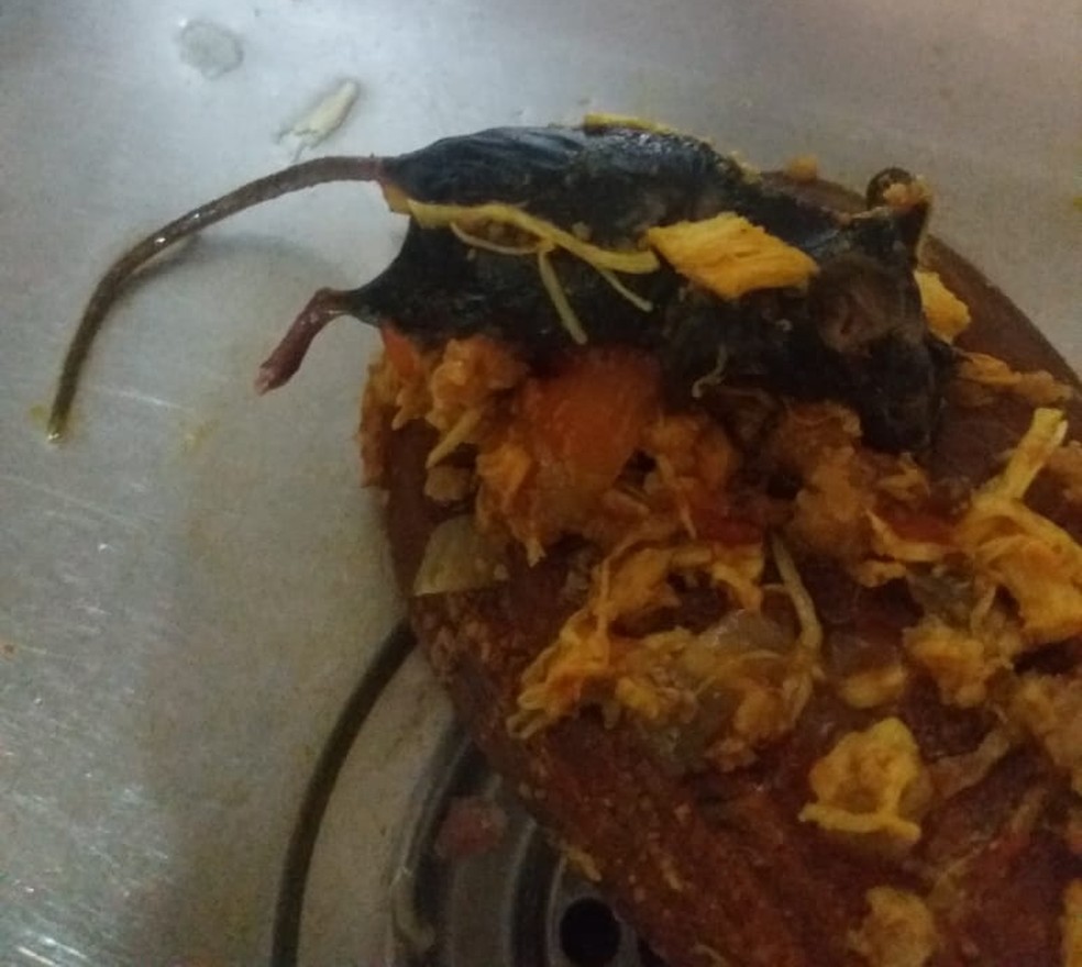 Rato encontrado dentro de embalagem de molho de tomate — Foto: Arquivo pessoal