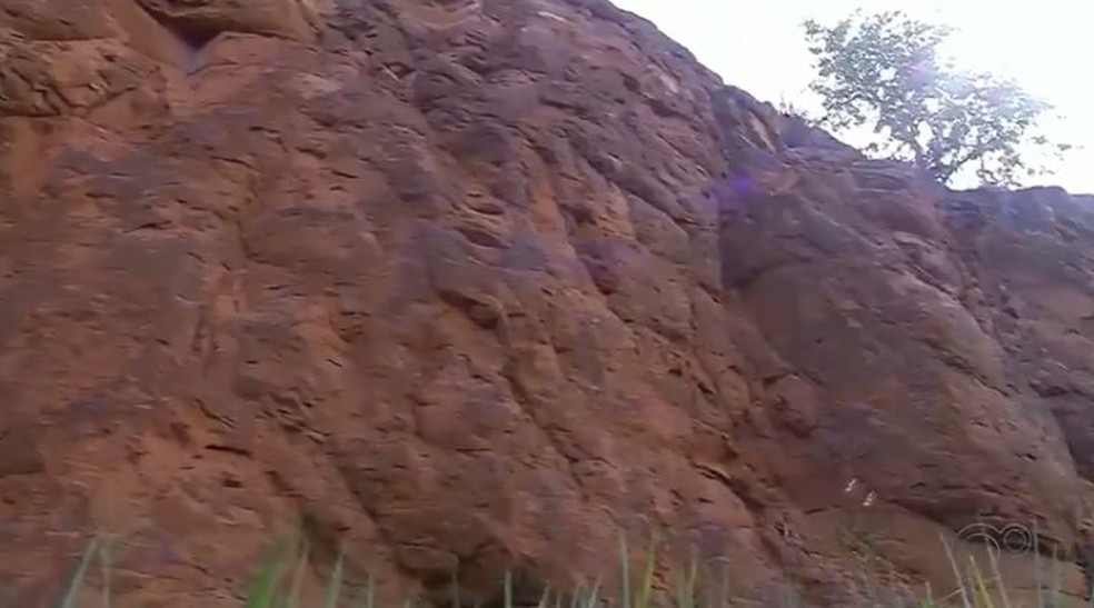 Fóssil foi encontrado em parede às margens de rodovia em General Salgado (SP) — Foto: Reprodução/TV TEM
