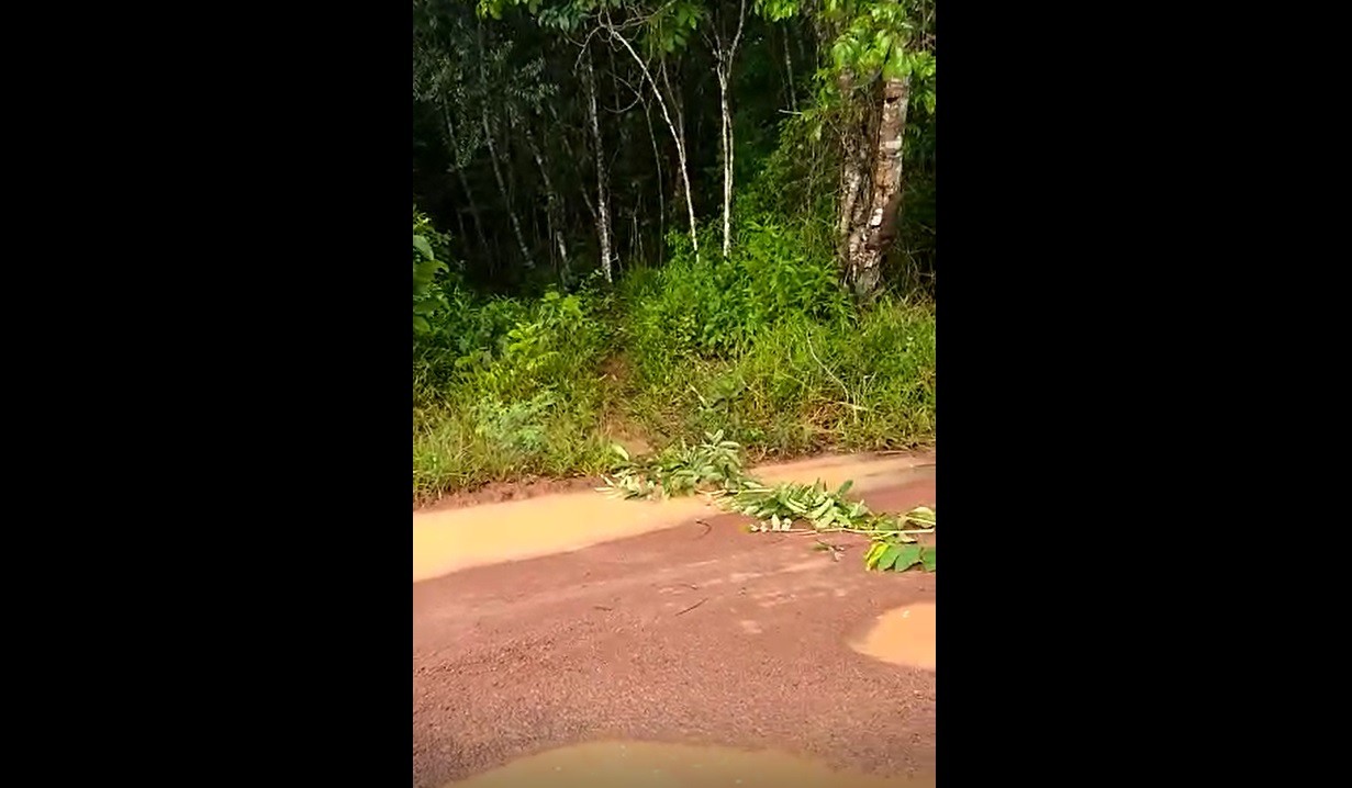 Homem não identificado é achado morto a tiros em ramal da AP-010, em Santana