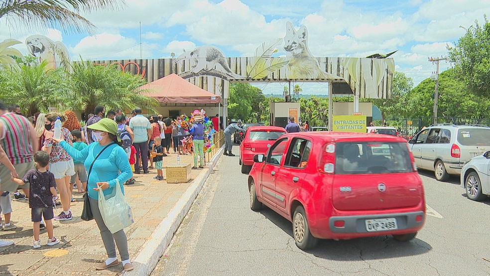 Zoológico de Brasília (imagem de arquivo) — Foto: TV Globo/Reprodução