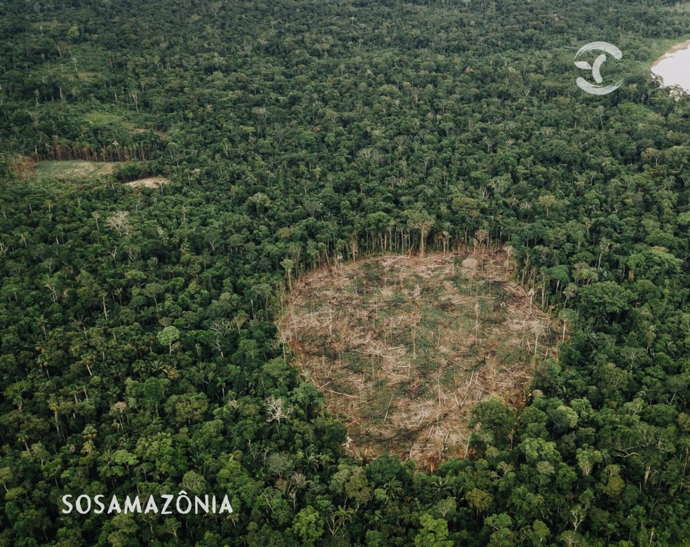 Desmatamento no estado cresceu 28% em relação a 2020, com perda de 889 km² de floresta — Foto: Arquivo/SOS Amazônia