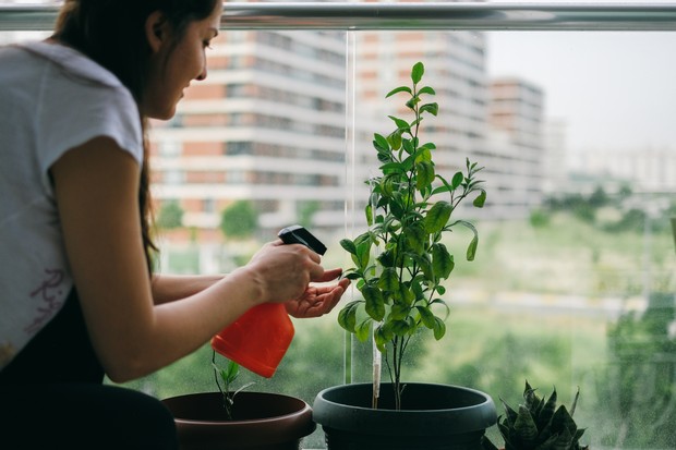 De hotel à babá de plantas, conheça alguns dos serviços especializados para cuidar do seu jardim (Foto: Getty Images)