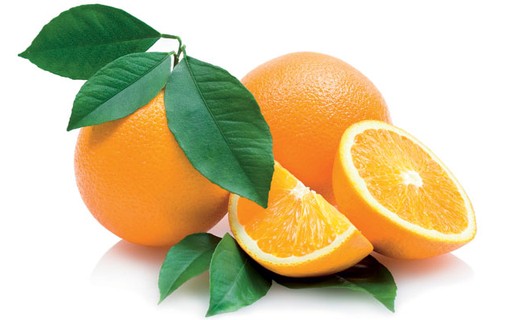 Bagaço Da Laranja Fundo De Quintal Como Plantar Laranja Revista Globo Rural Como Plantar