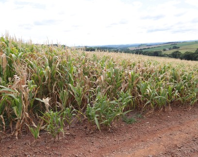 CNA pede medidas emergenciais para produtores afetados pela seca e enchentes