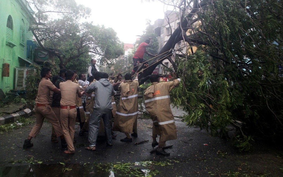Policiais retiram árvore derrubada por fortes ventos em Chennai, na Índia, na segunda-feira (12) (Foto: Reuters/Stringer)