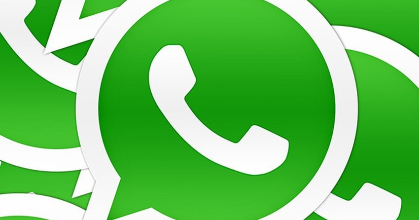 Whatsapp Web Veja Como Salvar Trechos De Conversas Em Pdf E Imprimir Dicas E Tutoriais Techtudo