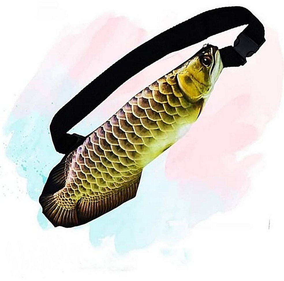 Peixe aruanã virou inspiração para a pochete em formato de peixes amazônico — Foto: Divulação