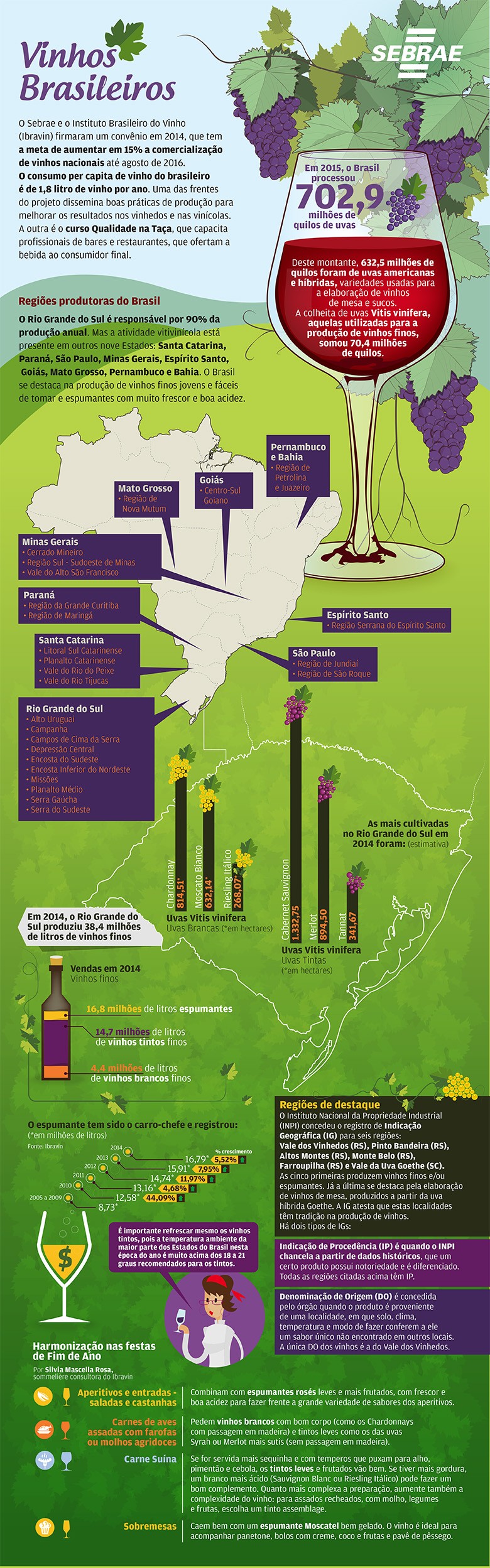 sebrae-infografico-vinho (Foto: Globo Rural)