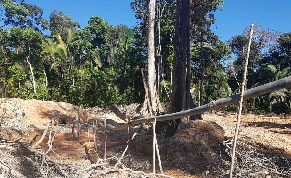 Ação teve como objetivo reprimir e prevenir a extração ilegal de diamantes em áreas de preservação — Foto: PF/Divulgação