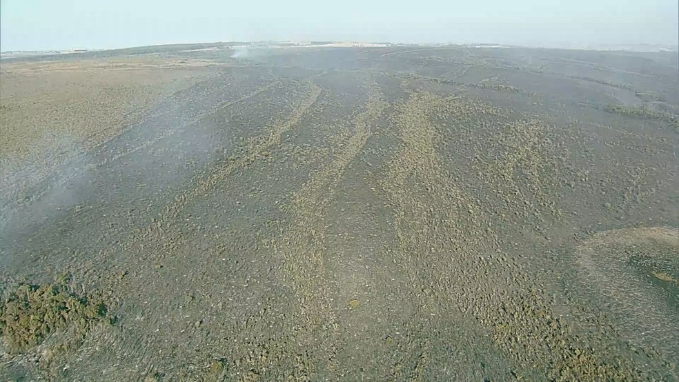 Parte de área queimada no Parque Nacional de Brasília, na manhã desta terça-feira (6) — Foto: TV Globo/Reprodução