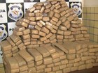 Mais de meia tonelada de drogas foram apreendidas em junho no PA