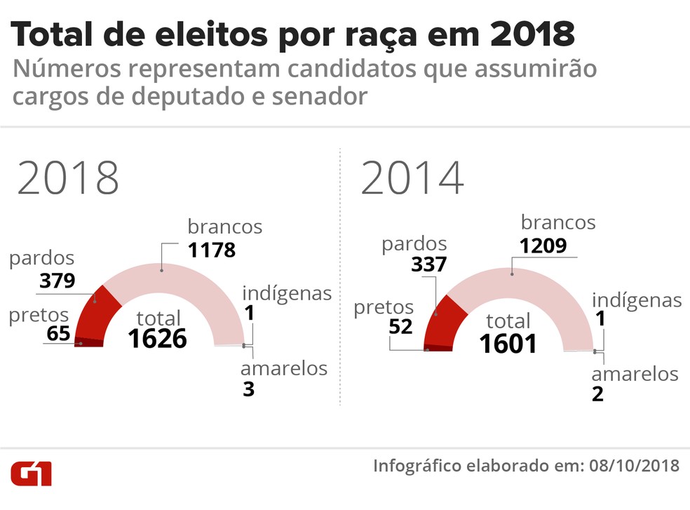 Total de eleitos por raça em 2018 — Foto: Karina Almeida/G1