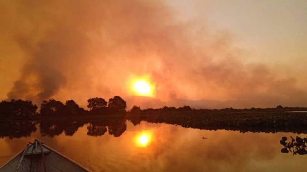 Fumaça se tornou parte do cenário do Pantanal nos últimos meses — Foto: Reinaldo Nogales/Ecoa via BBC