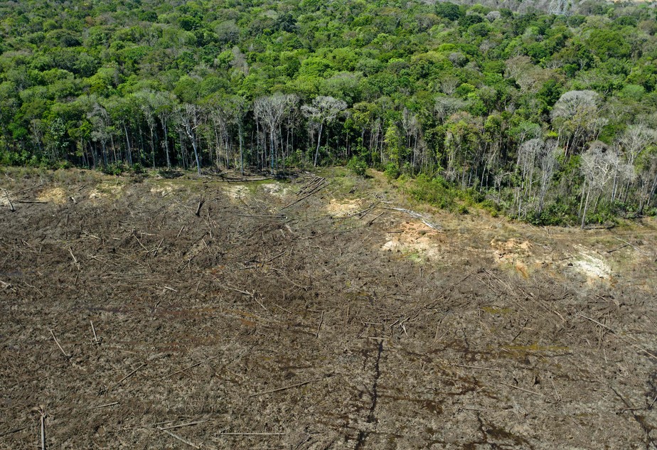 Área desmatada vai substituindo floresta perto de Sinop, no Mato Grosso