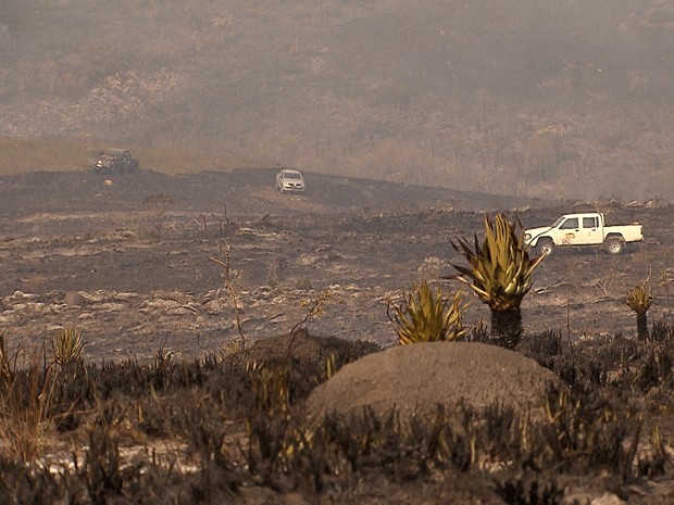 Ministra estima que incêndio atingiu 10% do Parque Nacional da Serra Cipó (Foto: Reprodução/TV Globo)