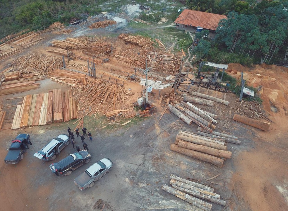 PolÃ­cia Federal fechou serrarias e apreendeu madeira ilegal em reservas indÃ­genas no MaranhÃ£o â€” Foto: DivulgaÃ§Ã£o/PolÃ­cia Federal