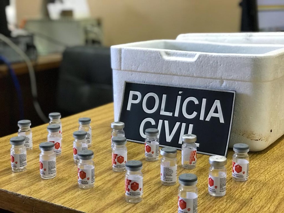 Polícia aguarda perícia para saber conteúdo de 300 vacinas comercializadas — Foto: Divulgação/Polícia Civil