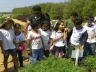 Projeto da Embrapa no DF incentiva consumo de hortaliças entre crianças