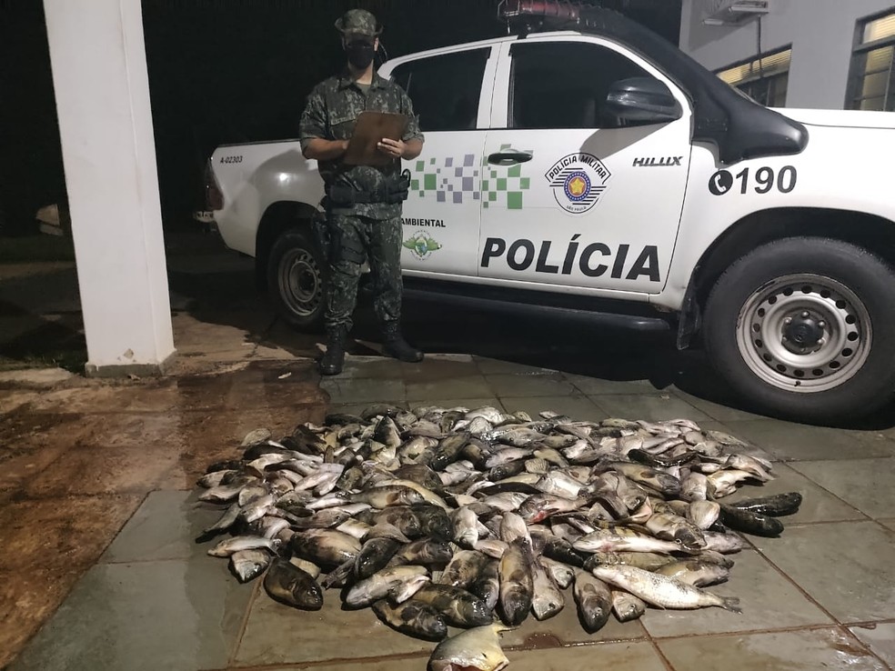 Polícia Ambiental apreendeu 76 quilos de peixes de várias espécies — Foto: Polícia Ambiental